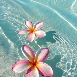 Купальники